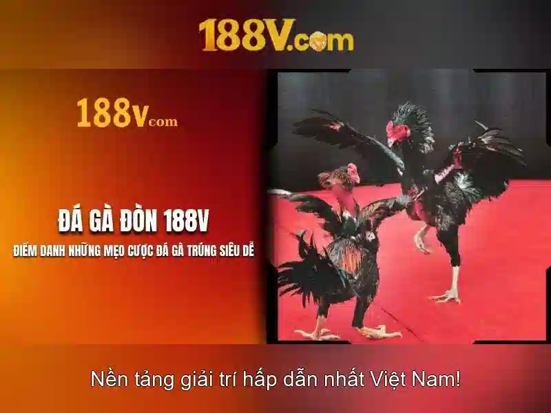 quản lý tài khoản 188V